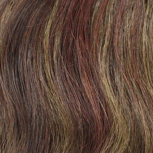 *04/06/08/33 | Darkest Brown blended with Medium & Light Chestnut Brown & Dark Auburn