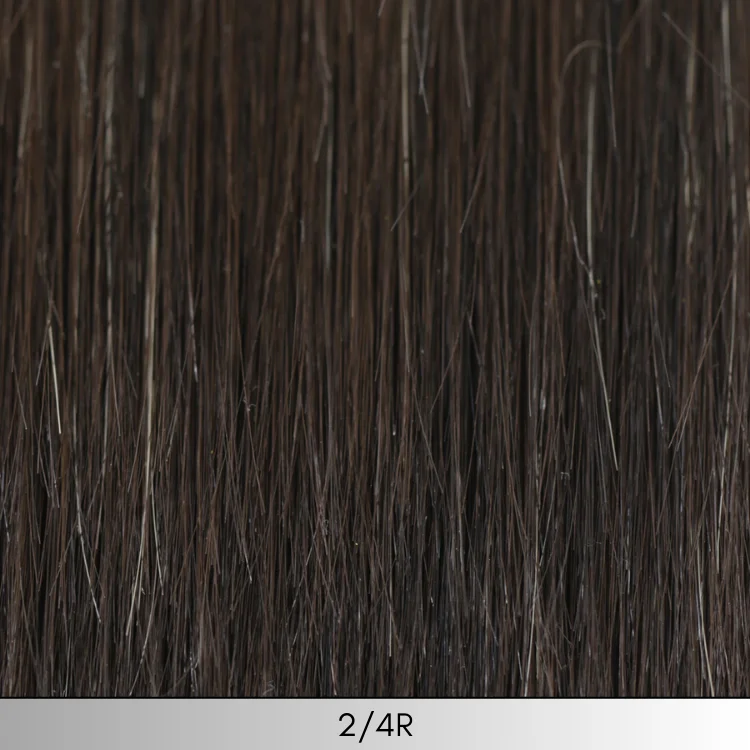 2/4R - Very Dark Brown with Highlights