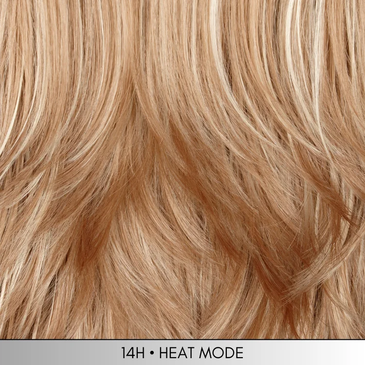 14H - Dark blonde with light wheat blonde highlights