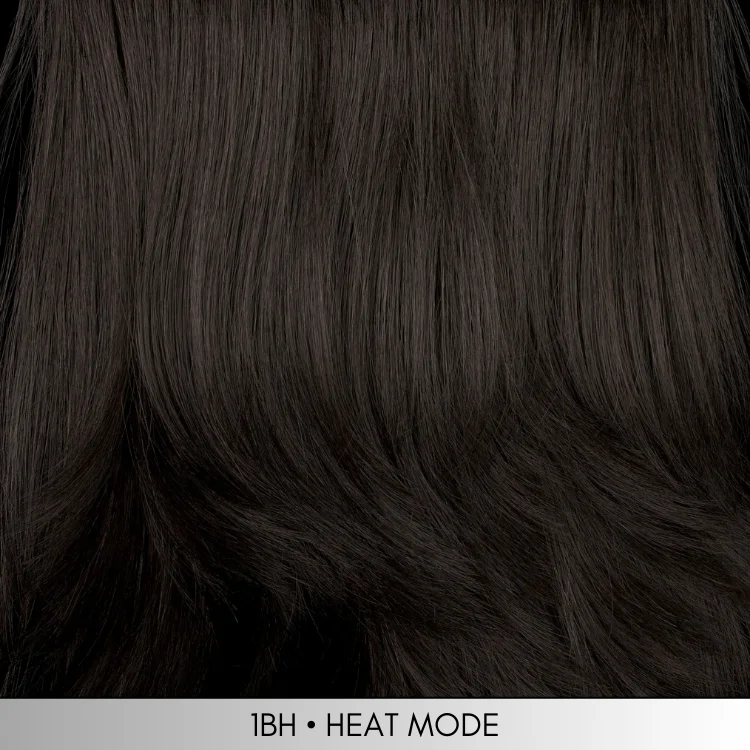 1BH - Off black with medium dark brown highlights