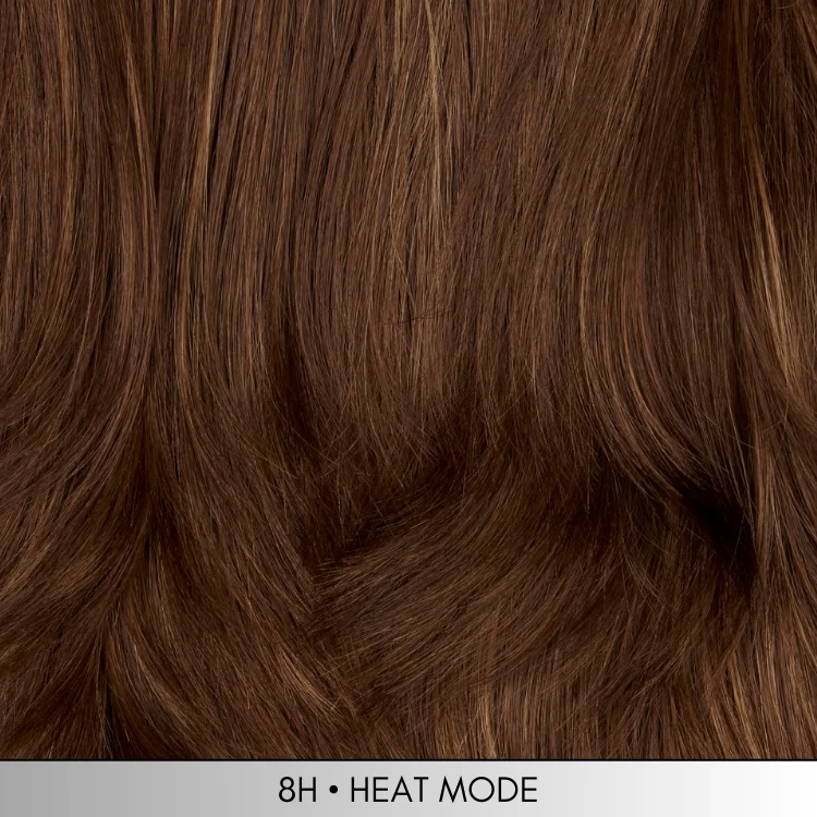 8H - Medium brown with golden brown highlights